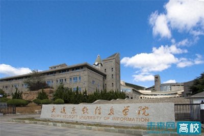 大连东软信息学院学校概况
