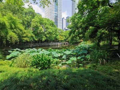 暑假余额不足,推荐带娃去杭州嘟嘟城体验最后的狂欢