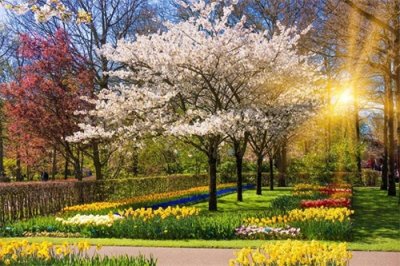 农历各月诗意别称