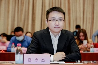 斗鱼CEO陈少杰栽了!亿万富豪涉嫌开设赌场罪,斗鱼遭遇大震荡