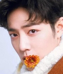 为捍卫权益,守护公正,肖战起诉科技公司侵权胜诉